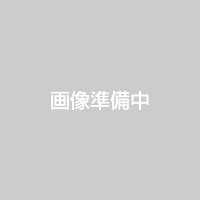 画像準備中